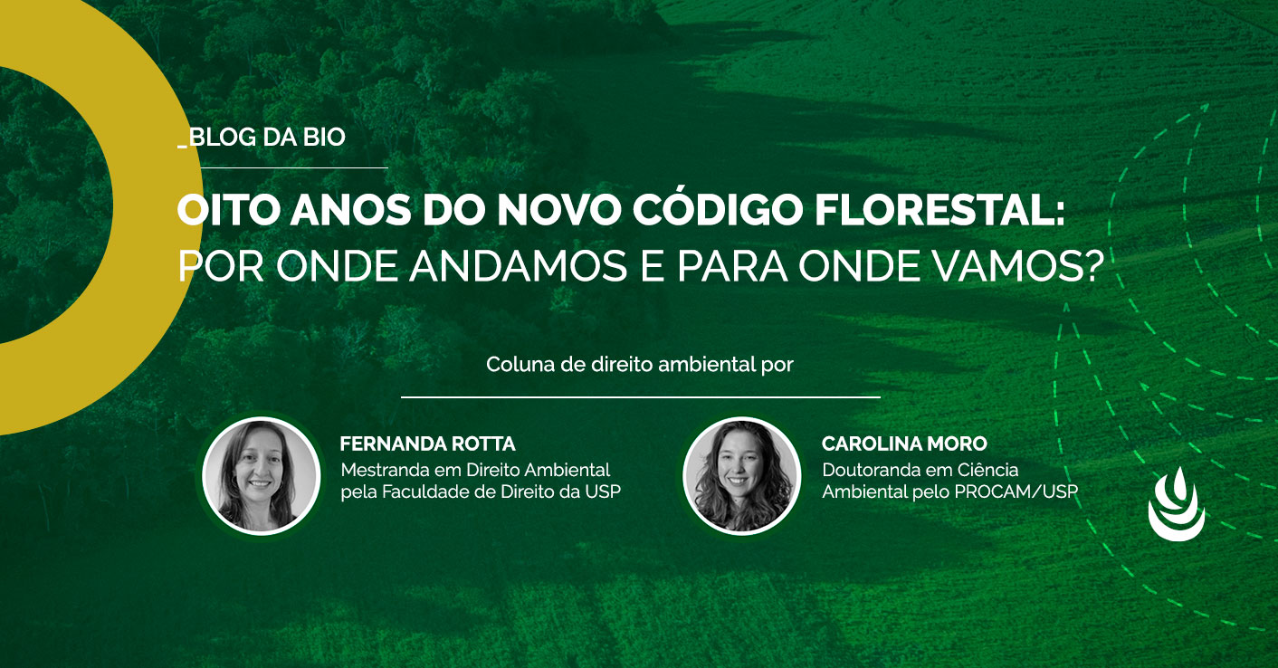 Oito Anos Do Novo C Digo Florestal Por Onde Andamos E Para Onde Vamos