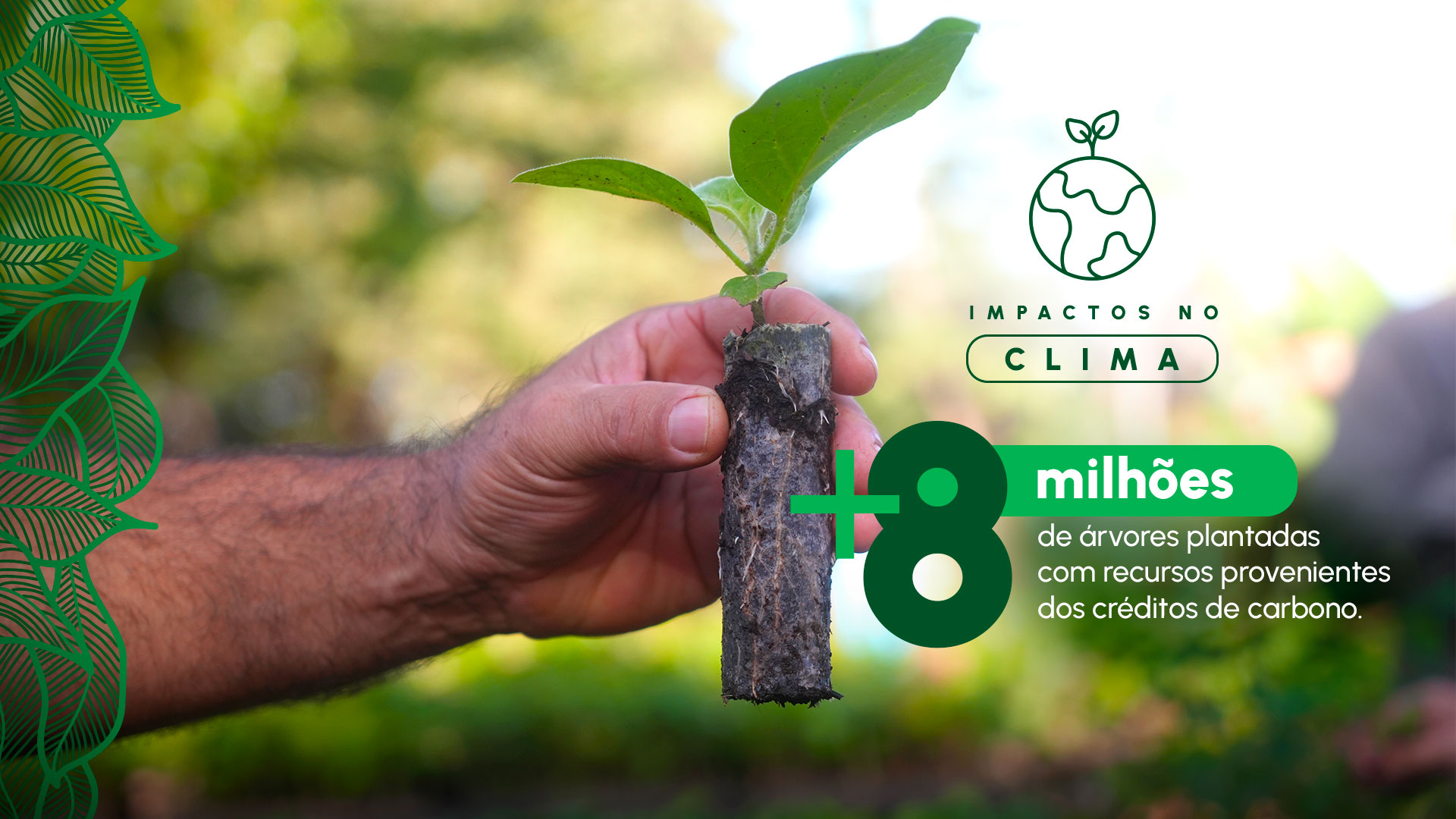 Impacto climático e remoção de carbono