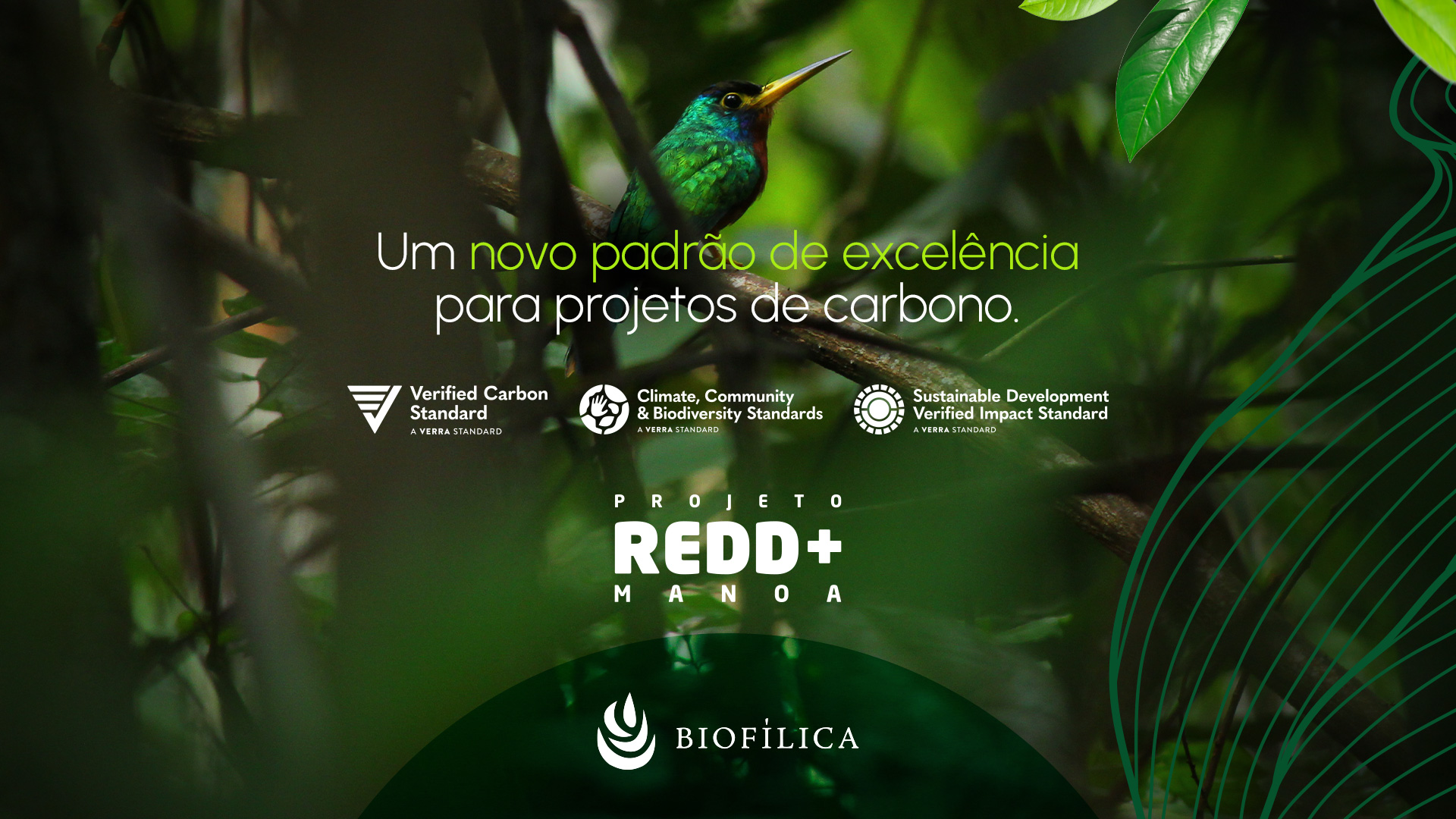 Projeto REDD+ Manoa - 1º da América Latina com VCS, CCB e SD VISta