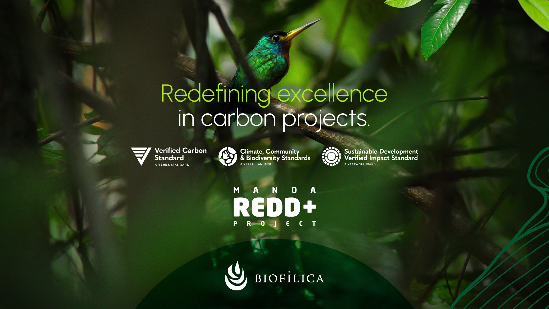 Manoa REDD+ project - first in Latin America with VCS, CCB and SD VISta